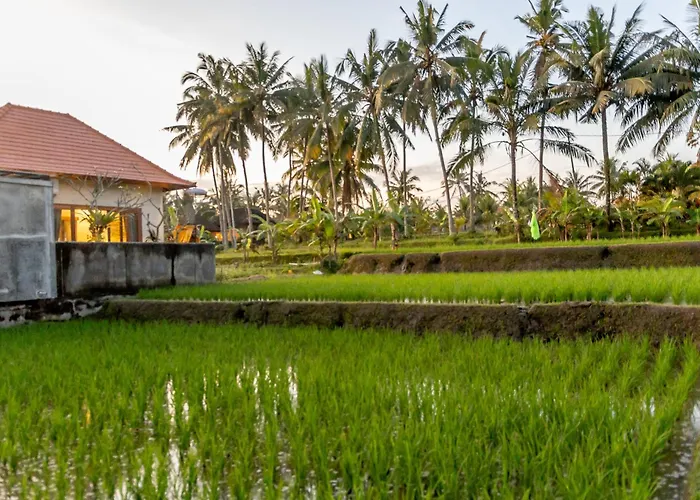 ヴィラ Manik Galih Private Pool