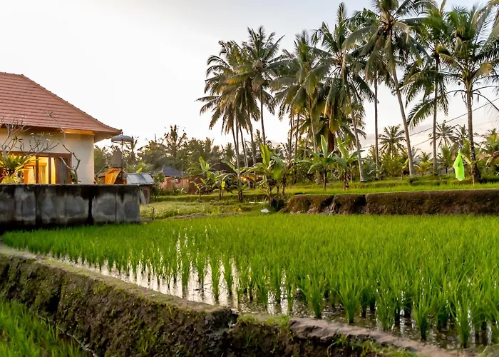 ヴィラ Manik Galih Private Pool ウブド