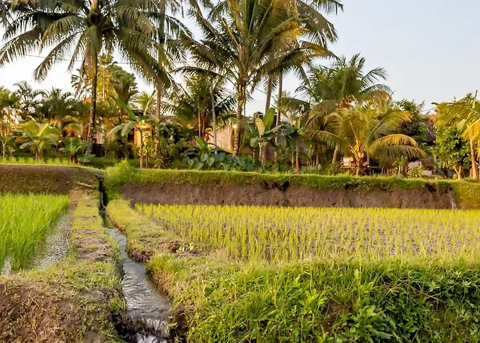 Manik Galih Private Pool ヴィラ